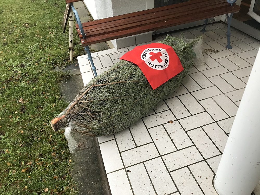 Weihnachtsbaumverkauf 2019